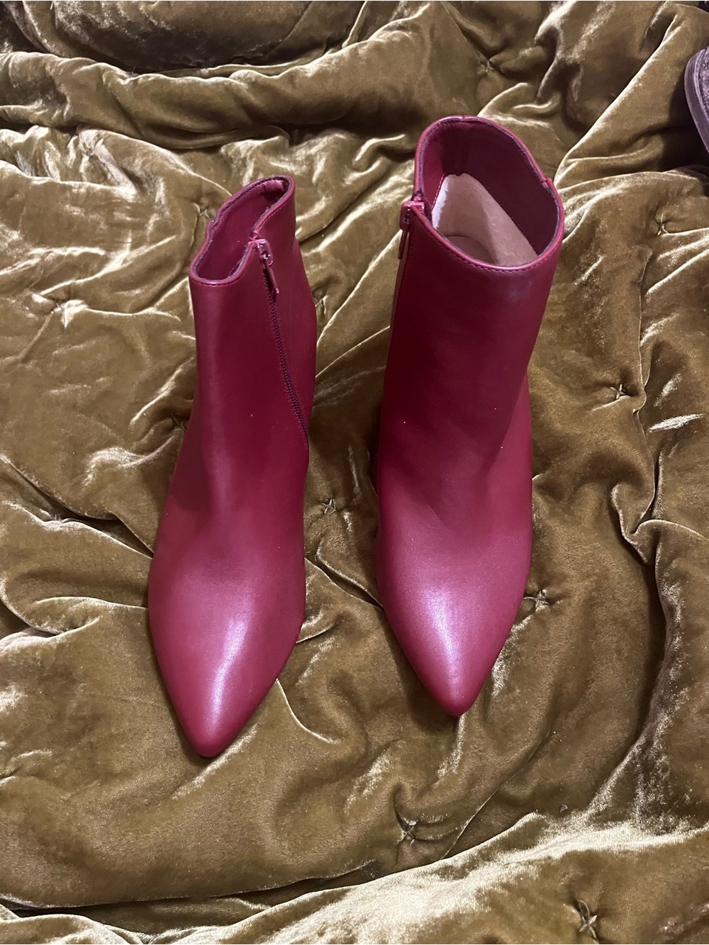 Women's Pointed Ankle Boots in Burgundy